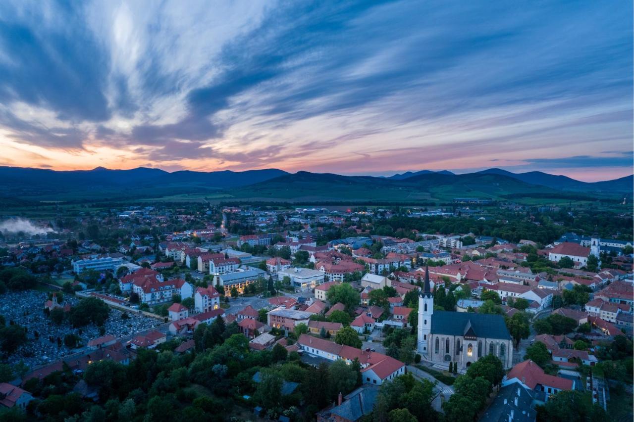 Hotel Bodrog Wellness & Elix Spa Шарошпатак Экстерьер фото