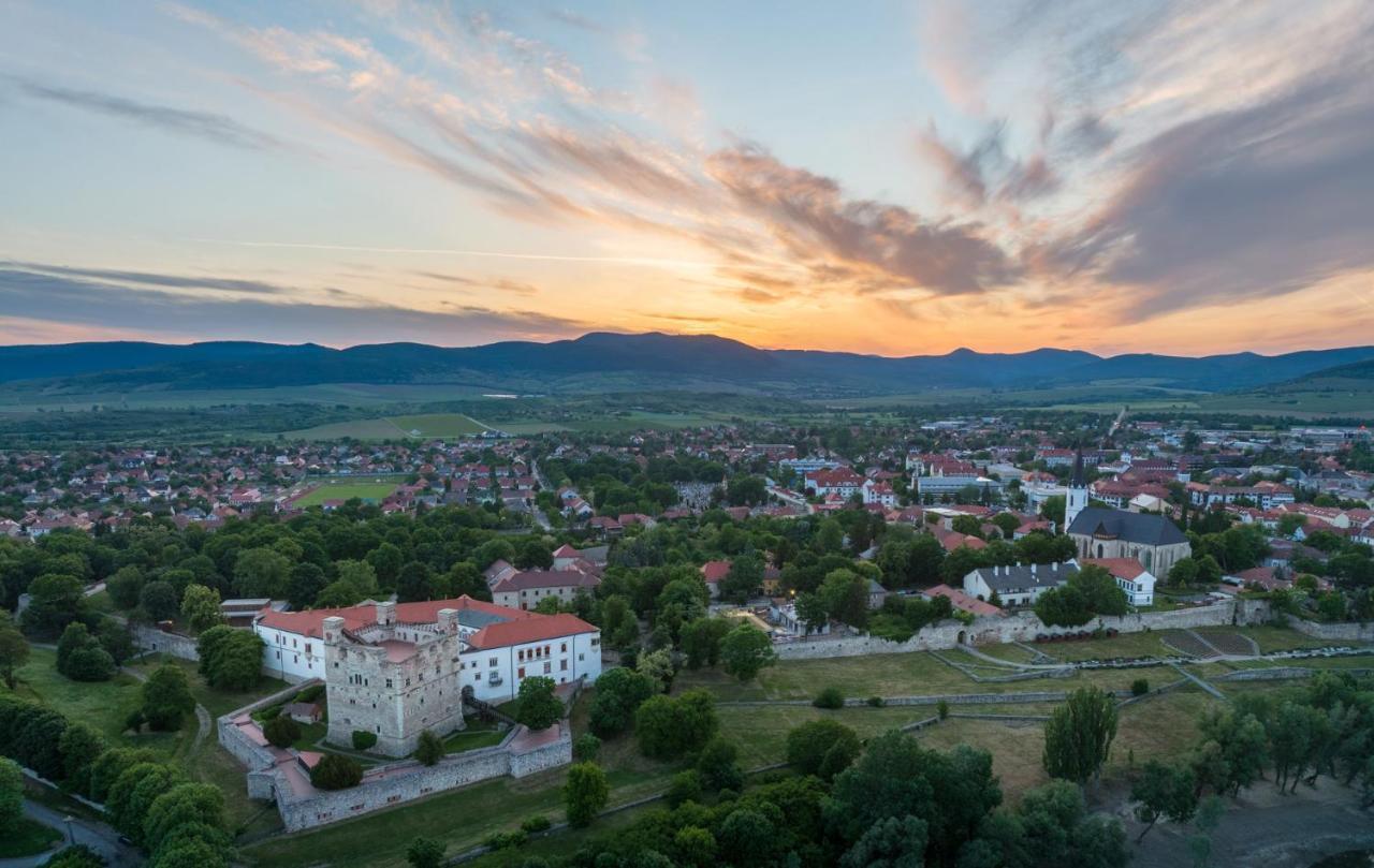 Hotel Bodrog Wellness & Elix Spa Шарошпатак Экстерьер фото