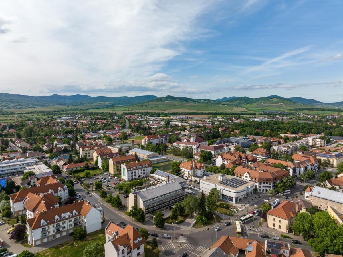 Hotel Bodrog Wellness & Elix Spa Шарошпатак Экстерьер фото